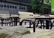 Banner Burgers Zoo Accoya